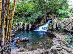 Hamakua House and Camping Cabanas